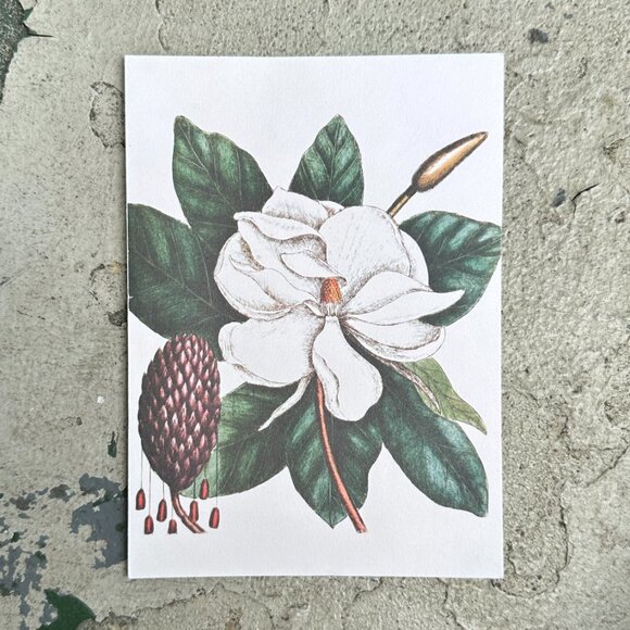 The Laurel Tree of Carolina Blank Card - Picture 5 of 12